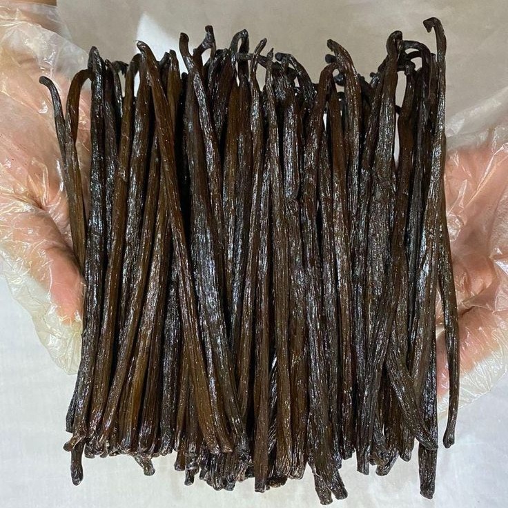 Planifolia Vanilla Bean