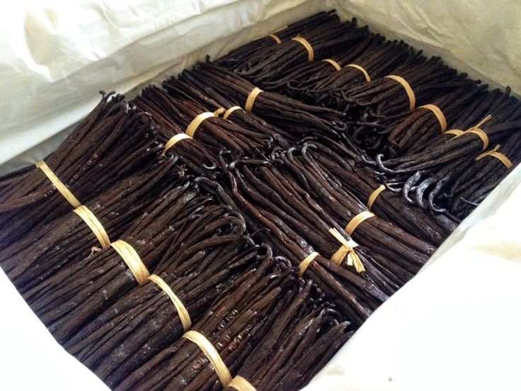 gudang penyimpanan vanilla